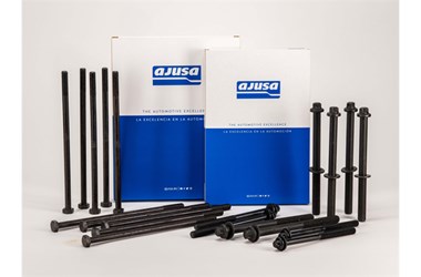 aju-ajusa cylinder head bolts.jpg